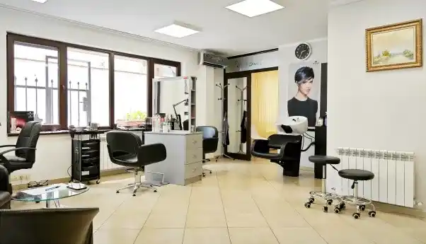 Artisimi