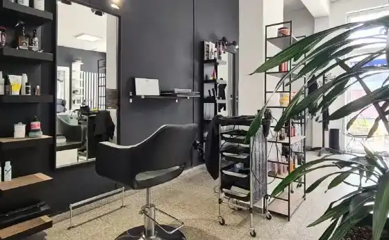 Birdjostyle — fotografie a proprietății