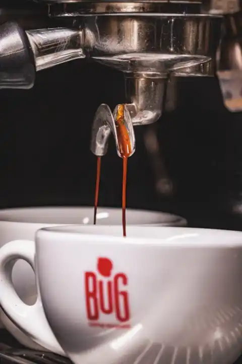 Bug Coffee