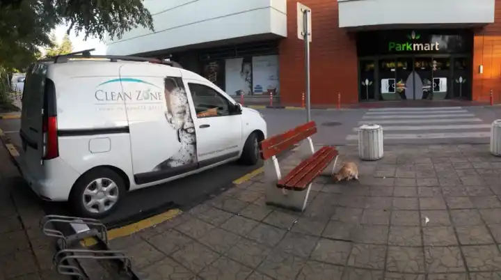 Clean Zone — Βάρνα, Parkmart