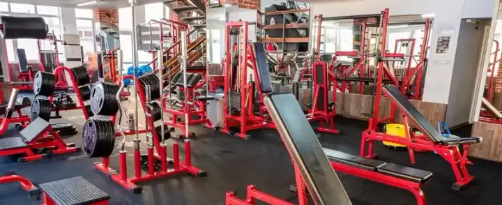 Общедоступное изображение — Fitness Olympia