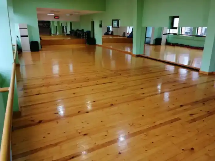 Мега Спорт
