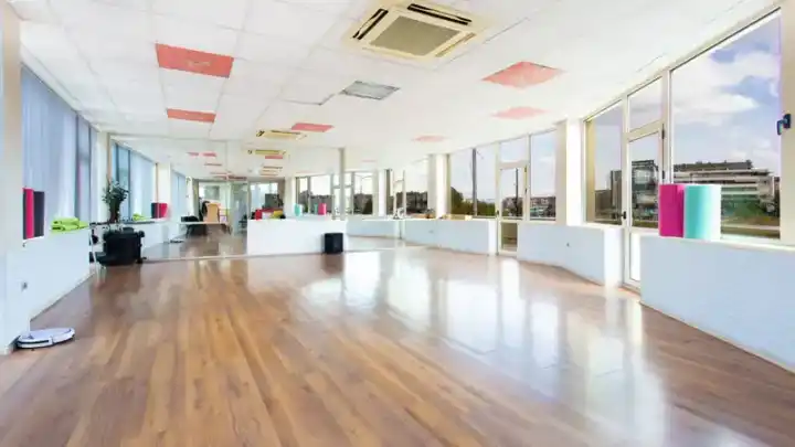 Salsa Spirit Dance Organization