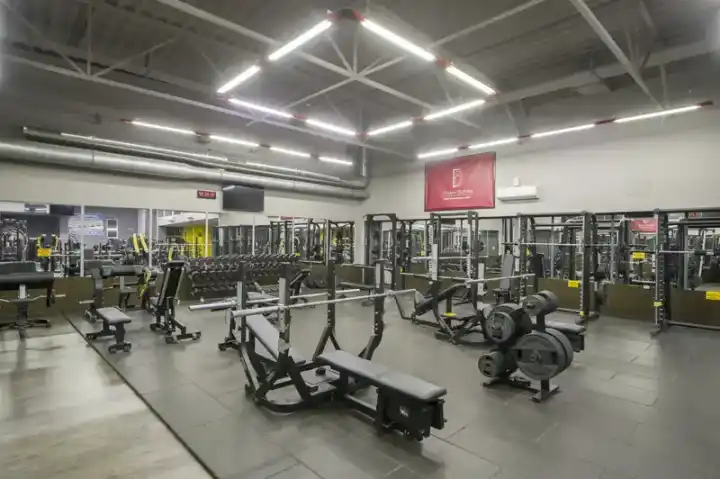 Јавна слика — The Red Gym