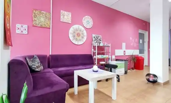 Studio Violeta 21 — fotografie obiect