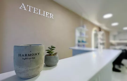 TS’s Atelier — фотографија од имотот